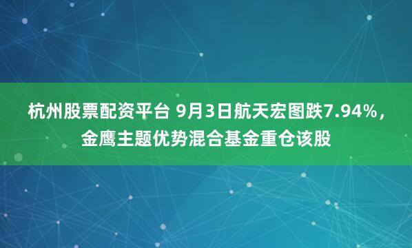 杭州股票配资平台 9月3日航天宏图跌7.94%，金鹰主题优势混合基金重仓该股