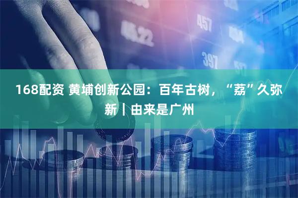 168配资 黄埔创新公园：百年古树，“荔”久弥新｜由来是广州