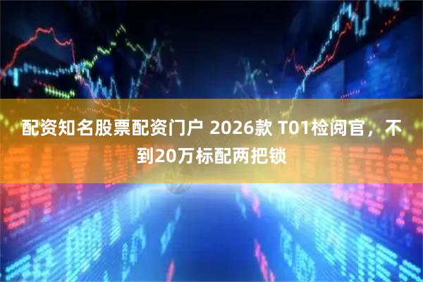 配资知名股票配资门户 2026款 T01检阅官，不到20万标配两把锁