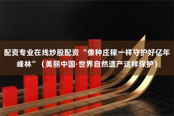 配资专业在线炒股配资 “像种庄稼一样守护好亿年峰林”（美丽中国·世界自然遗产这样保护）